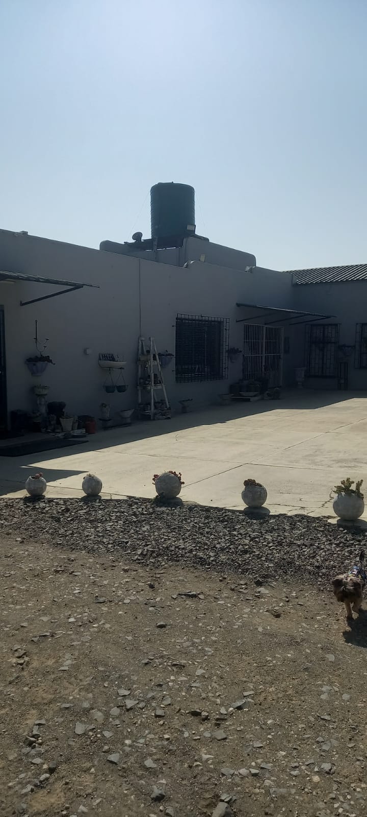 Commercial Property for Sale in Vrede Free State